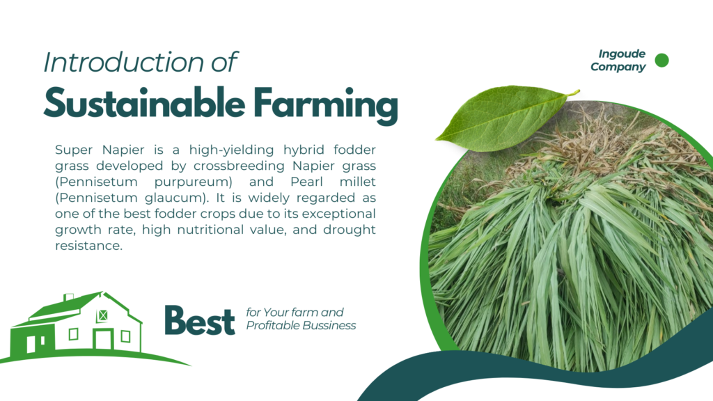 sustainable farming