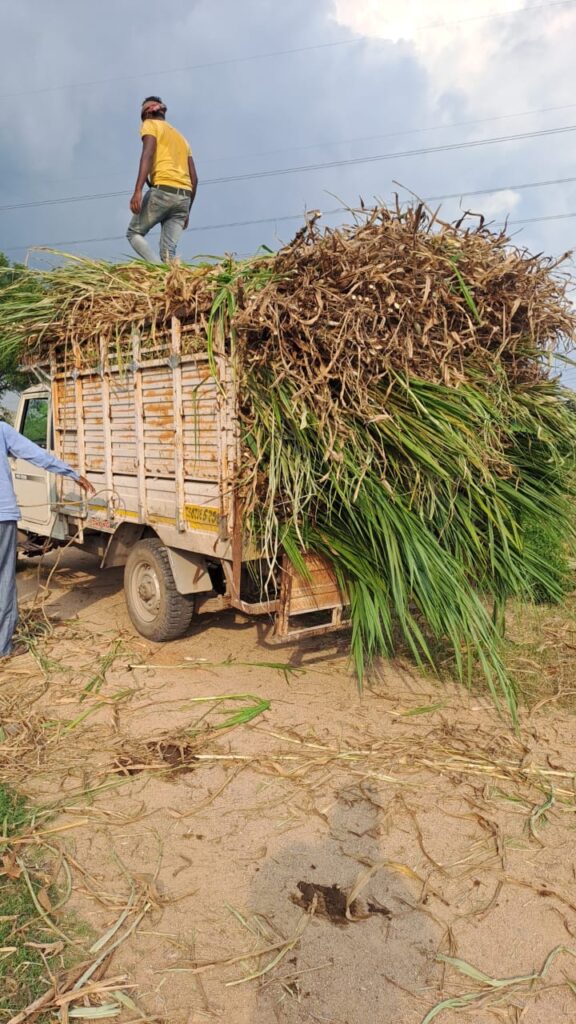 truck load